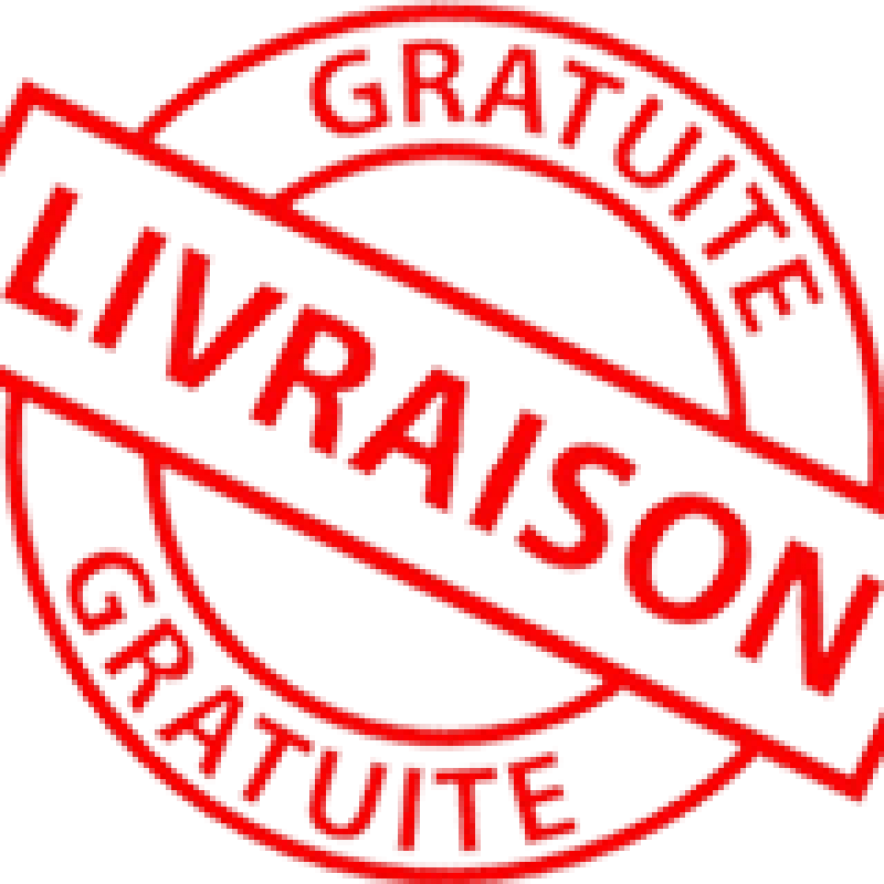 logo livraison gratuit